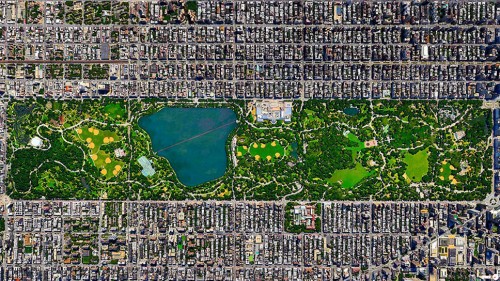 Central park_NY