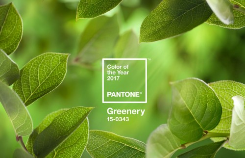 verde-greenery-cor-2017-pantone-tendencia-decor-salteado-2