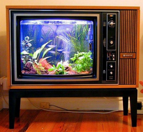 TV antiga em aquario